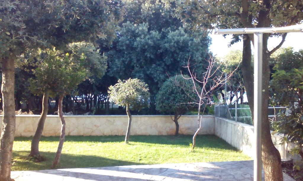 פטרצ'אנה Apartment Basic מראה חיצוני תמונה