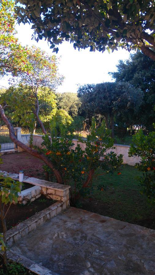 פטרצ'אנה Apartment Basic מראה חיצוני תמונה